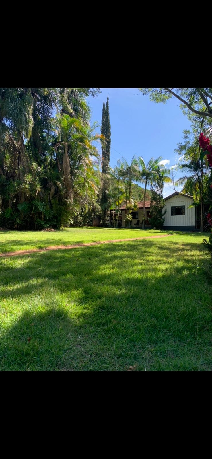 A lush green lawn is framed by tall trees and vibrant plants, providing a serene outdoor space. In the background, two structures are visible, one with a white facade and large windows. Sunlight filters through the foliage, creating dappled patterns on the grass.