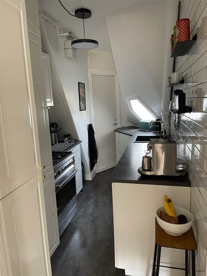 Hyggelig, Central Og Praktisk Lejlighed På Frb - Copenhagen