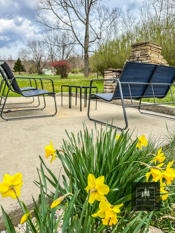 A patio area is featured with two chairs and a small table atop a concrete surface. Lush green grass surrounds the space, while vibrant yellow daffodils bloom in the foreground, adding a touch of color to the natural setting. A stone fireplace is visible in the background.