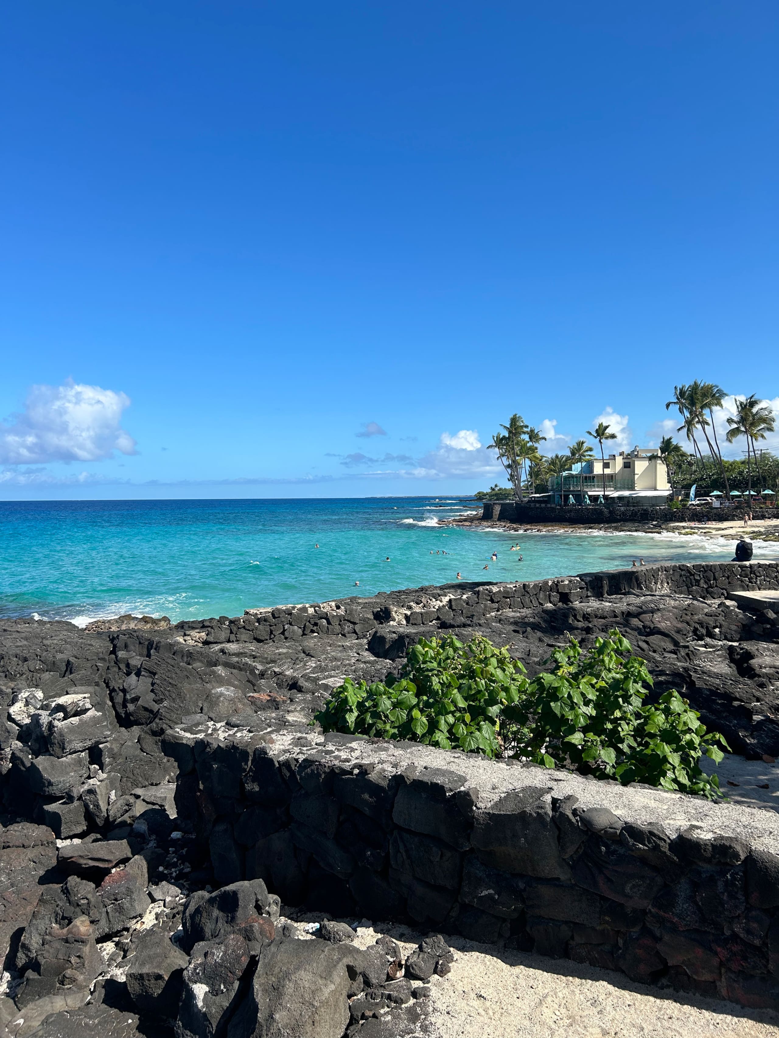 Condo in Kailua-Kona · ★4.74 · 1 bedroom · 1 bed · 1 bath - Image 29