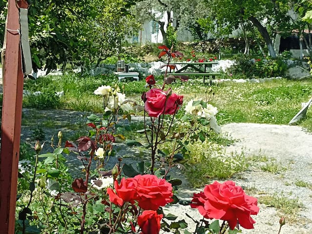 listing_image