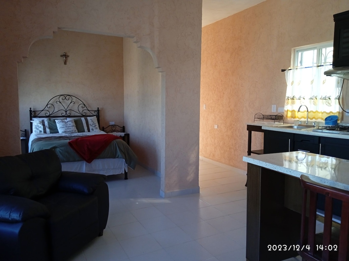 Departamento amueblado - Departamentos en renta en San Pedro, Coahuila ...