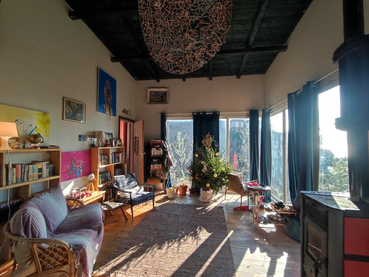 A spacious living room is filled with natural light from large panoramic windows. A mix of comfortable seating options, including a stylish armchair and a wicker chair, is present. Intricate artwork adorns the walls, while a decorated indoor plant adds a touch of greenery.