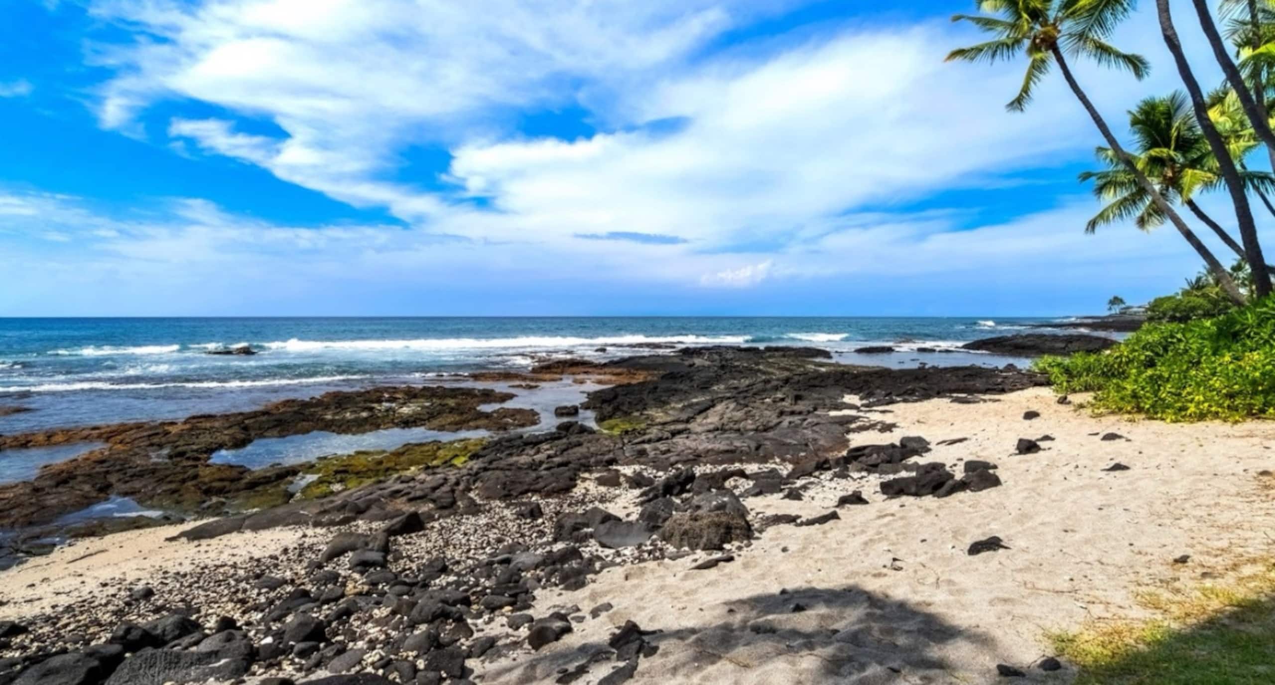 Condo in Kailua-Kona · ★4.83 · Studio · 1 bed · 1 bath - Image 16