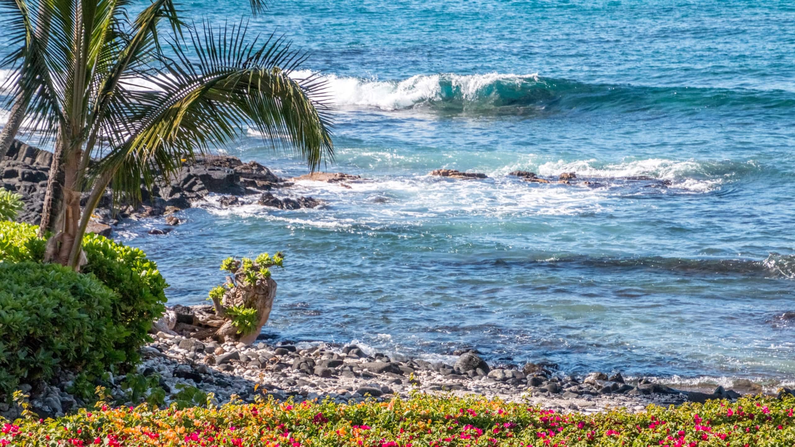 Condo in Kailua-Kona · ★4.83 · Studio · 1 bed · 1 bath - Image 15