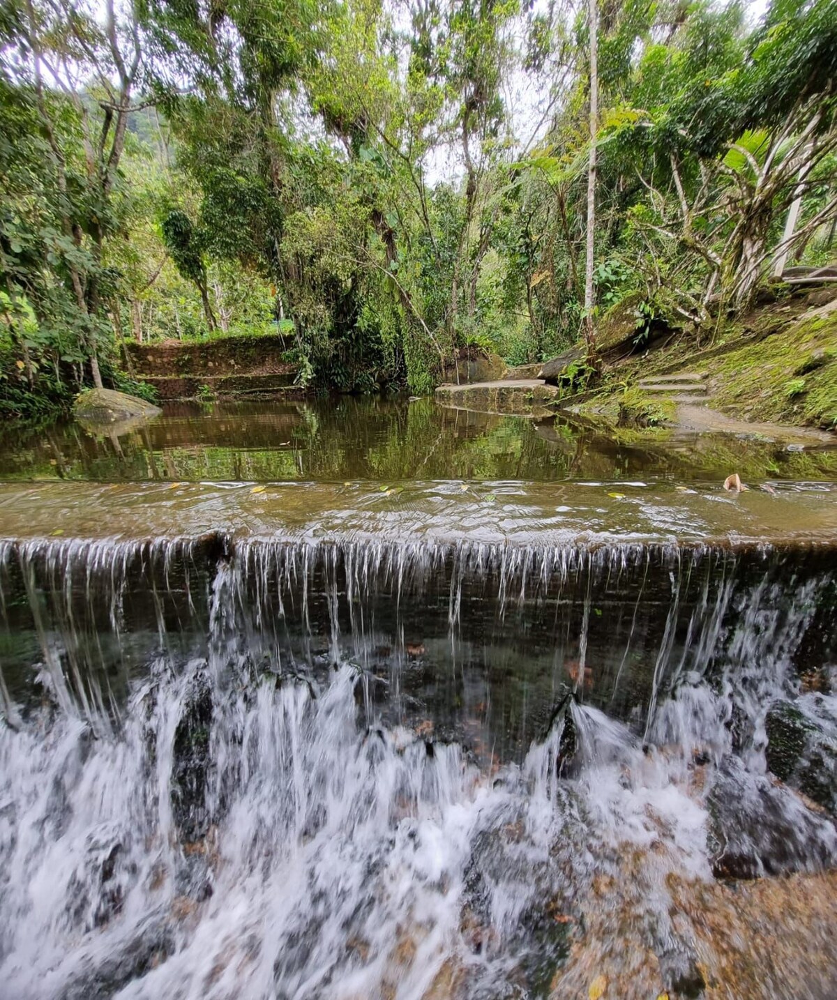 A natural pool is surrounded by lush greenery, with gentle water flowing over a small, rocky ledge. The clear water reflects the surrounding trees, creating a peaceful and serene setting in a tranquil outdoor environment.