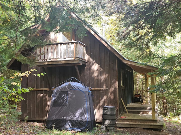 Hiker Delight Cabin exterior — wooden structure with loft deck surrounded by forest