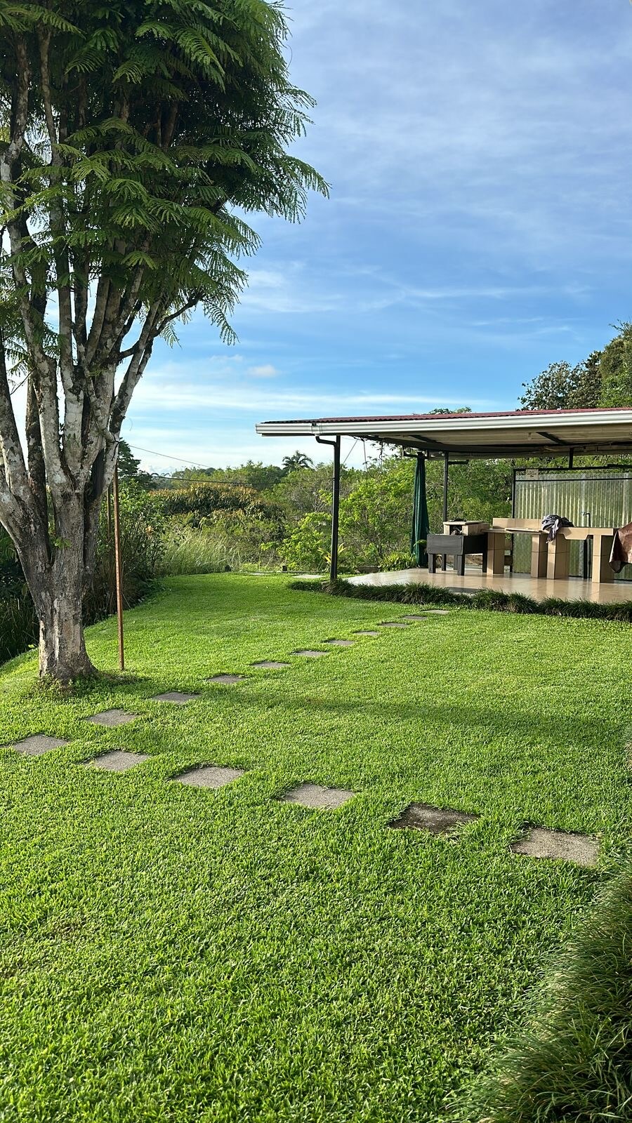 A well-maintained grassy area is featured, bordered by natural stone stepping stones that guide the way to a shaded patio. A large tree provides shade, while a spacious outdoor dining setup is visible under the roofed structure, surrounded by lush greenery.