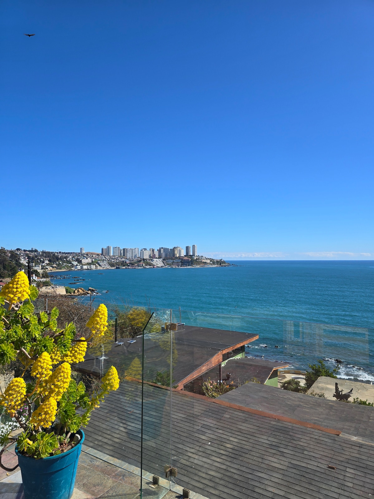 A stunning view of the coastline is captured from the terrace, featuring clear blue water and a distant skyline. Bright yellow flowers are displayed in a pot, adding a touch of color against the backdrop of the sea and sunny sky.