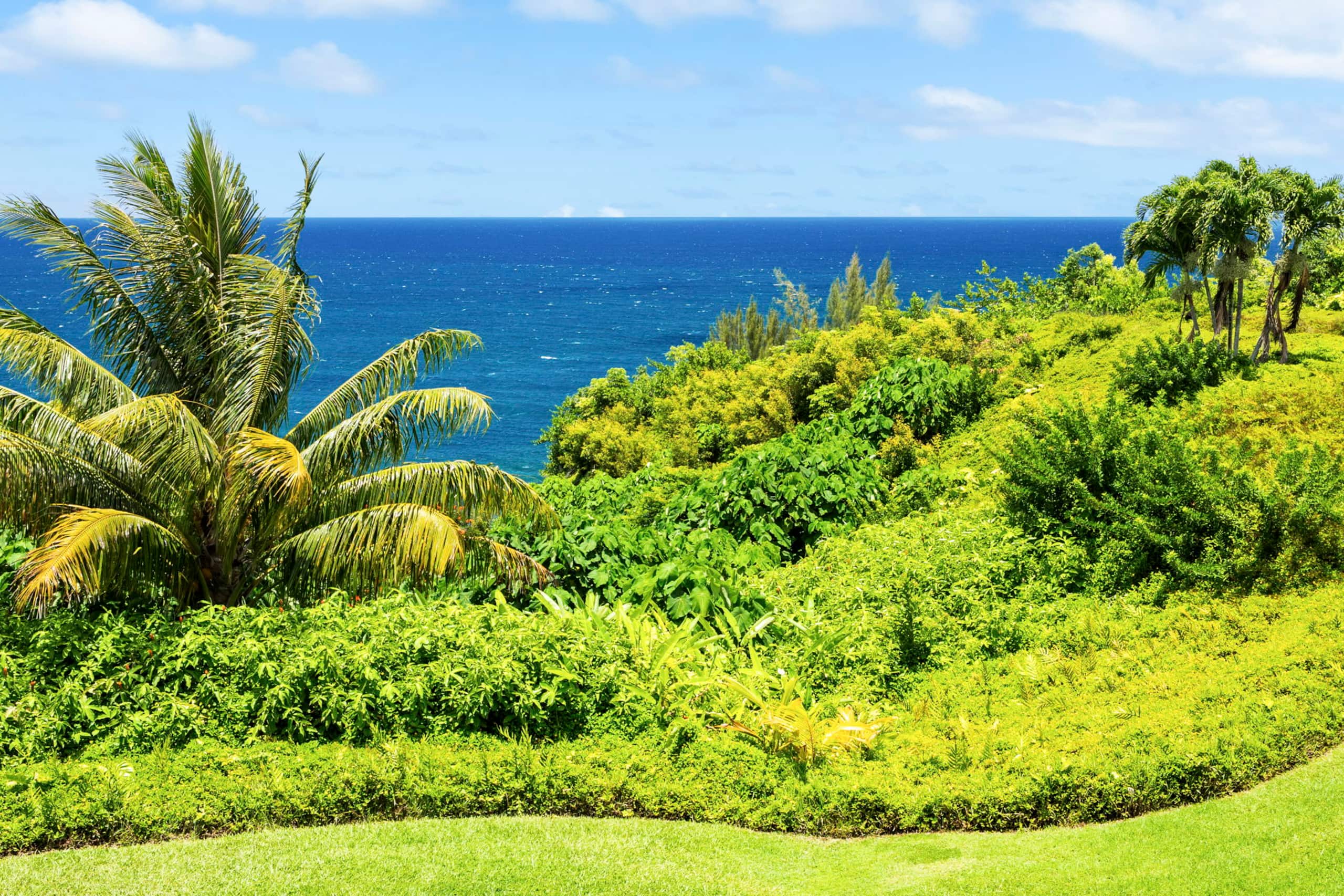 Condo in Princeville · ★4.88 · 2 bedrooms · 2 beds · 2 baths - Image 28