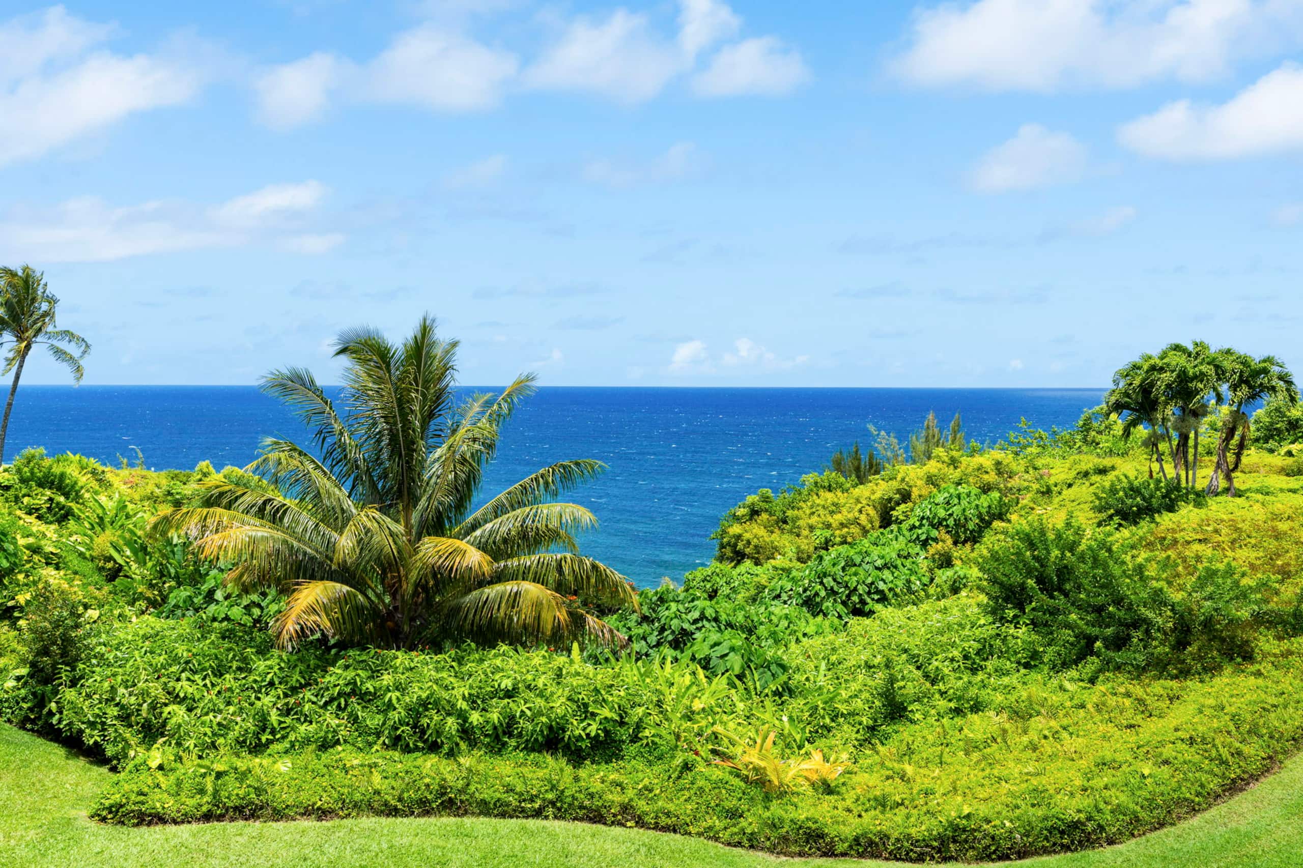 Condo in Princeville · ★4.88 · 2 bedrooms · 2 beds · 2 baths - Image 30
