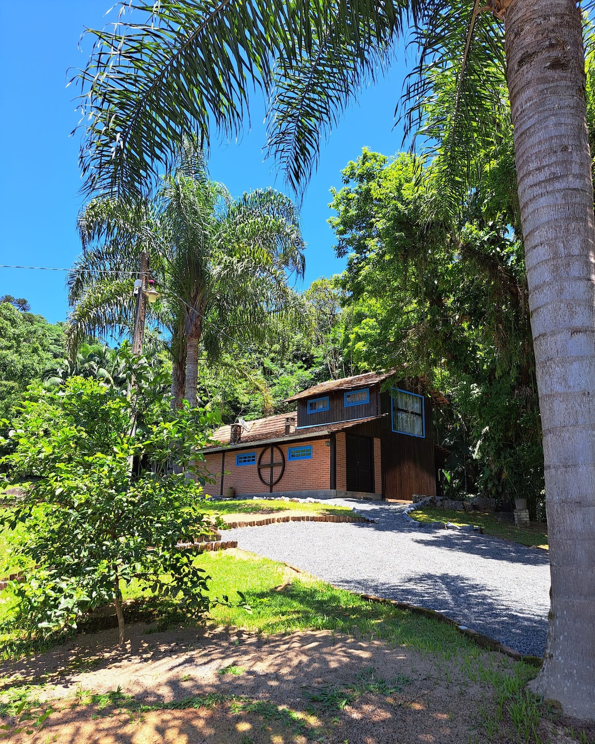 A charming chalet is surrounded by tall palm trees and lush greenery. A gravel pathway leads to the entrance, while large windows offer a glimpse of the inviting interior. The structure is nestled within a serene natural setting, emphasizing tranquility.