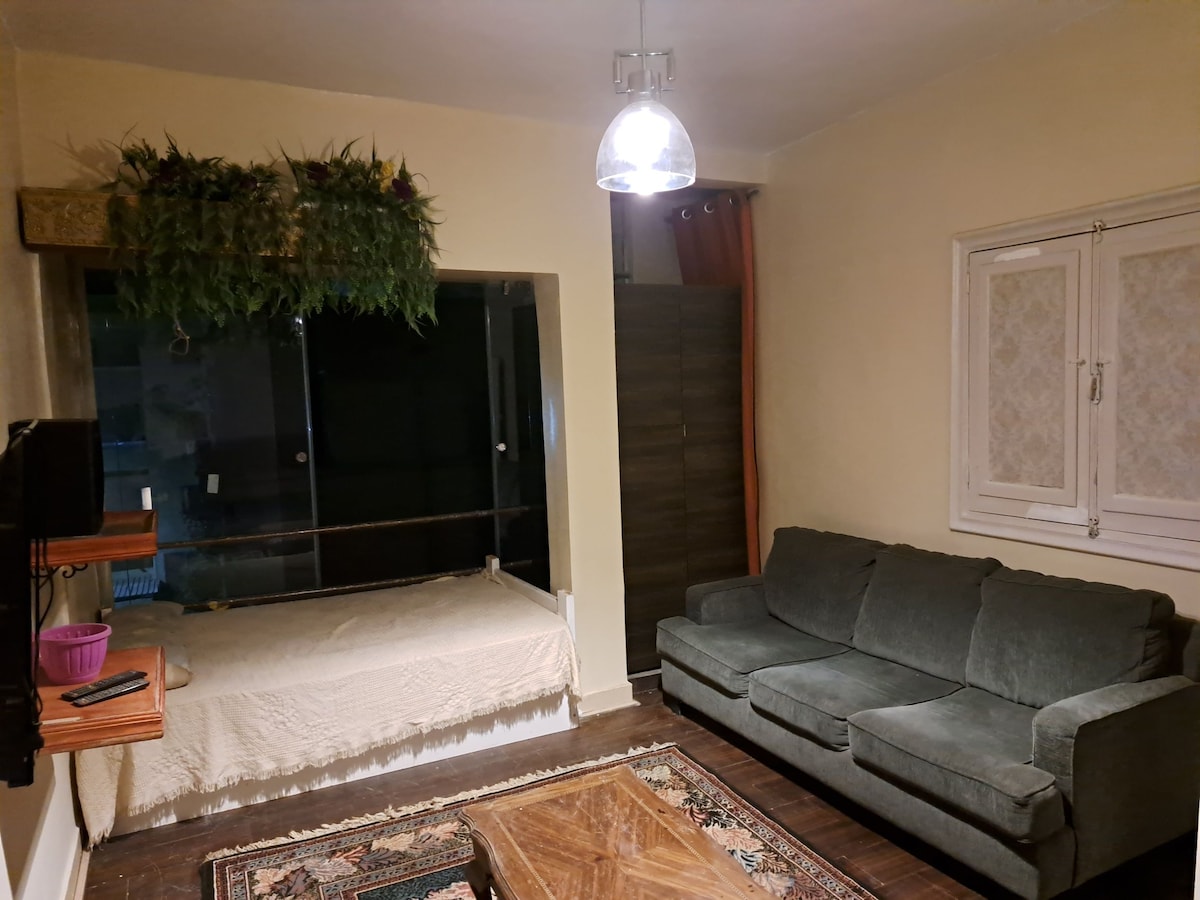 A living area features a cozy green sofa, positioned across from a wooden coffee table with intricate patterns. A bed with a light-colored coverlet is located nearby, complemented by a decorative planter above. Natural light filters through partial curtains, enhancing the overall ambiance.