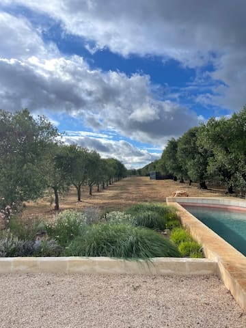 Nuova Villa con Piscina Ostuni, Puglia