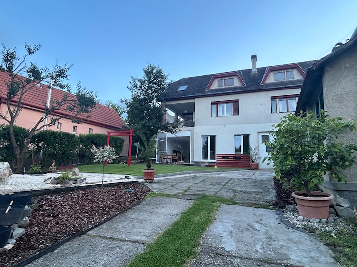 Zen Apartman - Szentendre