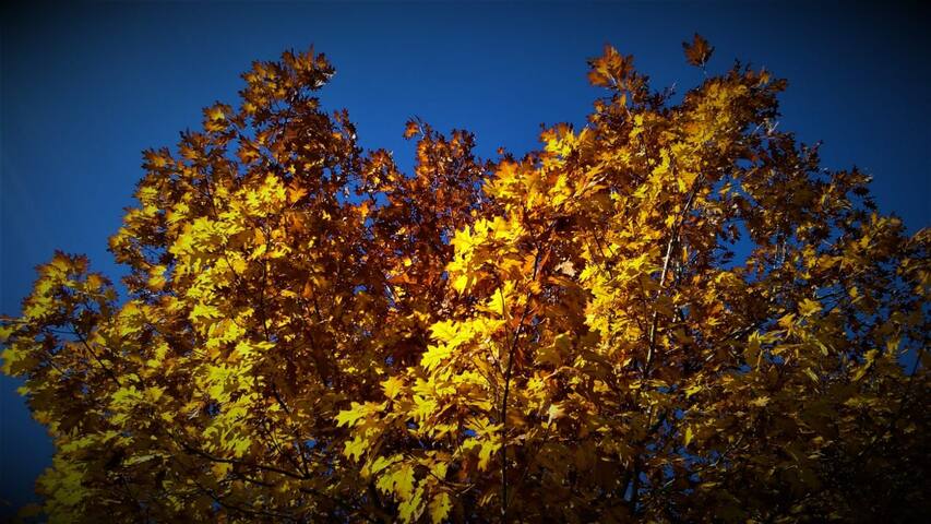 casa en plena naturaleza gallery image 3