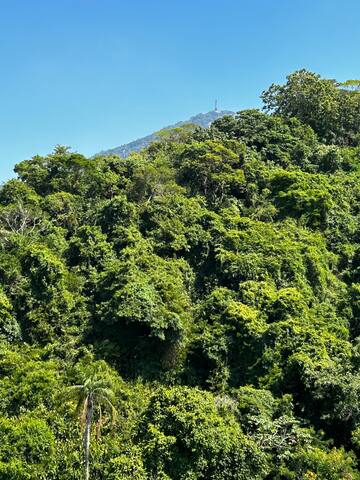 Apartamento de artista gallery image 4