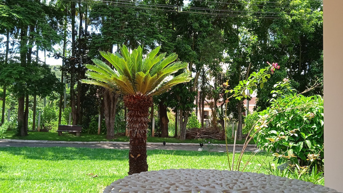 A view of a lush garden space is provided, featuring a palm tree and colorful foliage. A decorative table is situated in the foreground, complementing the natural surroundings. The background includes a pathway and additional trees, creating a serene outdoor setting.