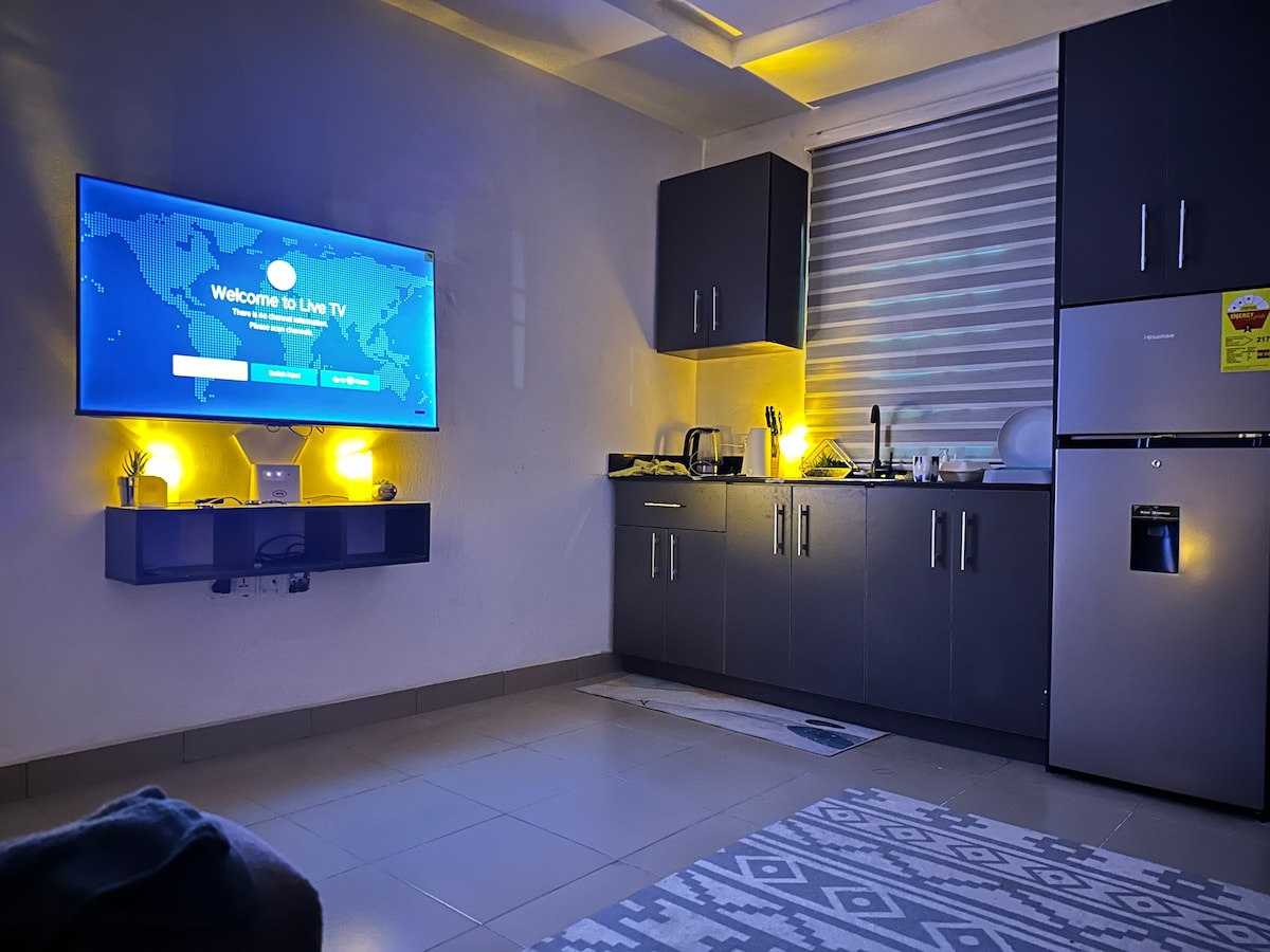 A compact kitchenette is visible adjacent to a wall-mounted television. A refrigerator stands next to the cabinets, with various kitchen appliances placed on the countertop. Soft ambient lighting highlights the sleek design of the space, complemented by a patterned area rug on the floor.