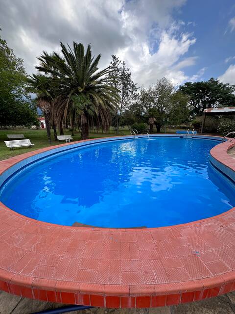 Quinta Arami