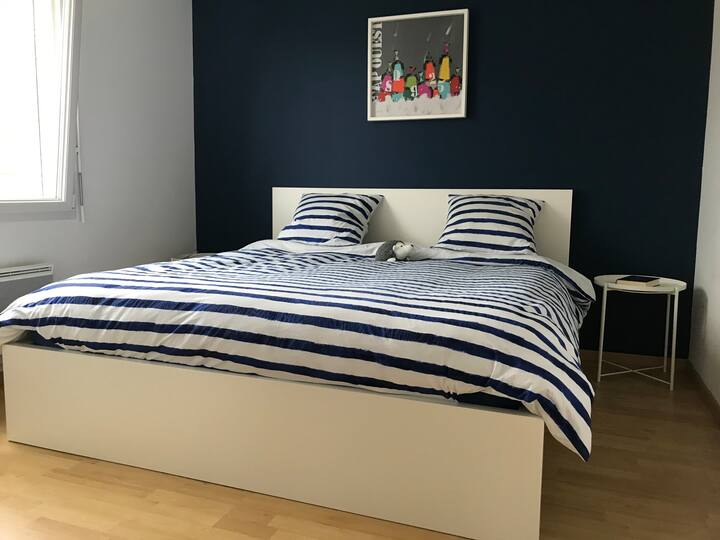 chambre 1 lit King Size (180 cm)
