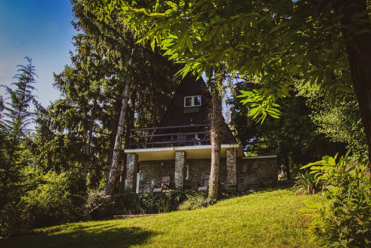 A charming A-frame house is nestled among tall trees, featuring a spacious patio that extends from the front. The surrounding area is lush with greenery, and natural light floods the exterior, emphasizing the serene and private setting.