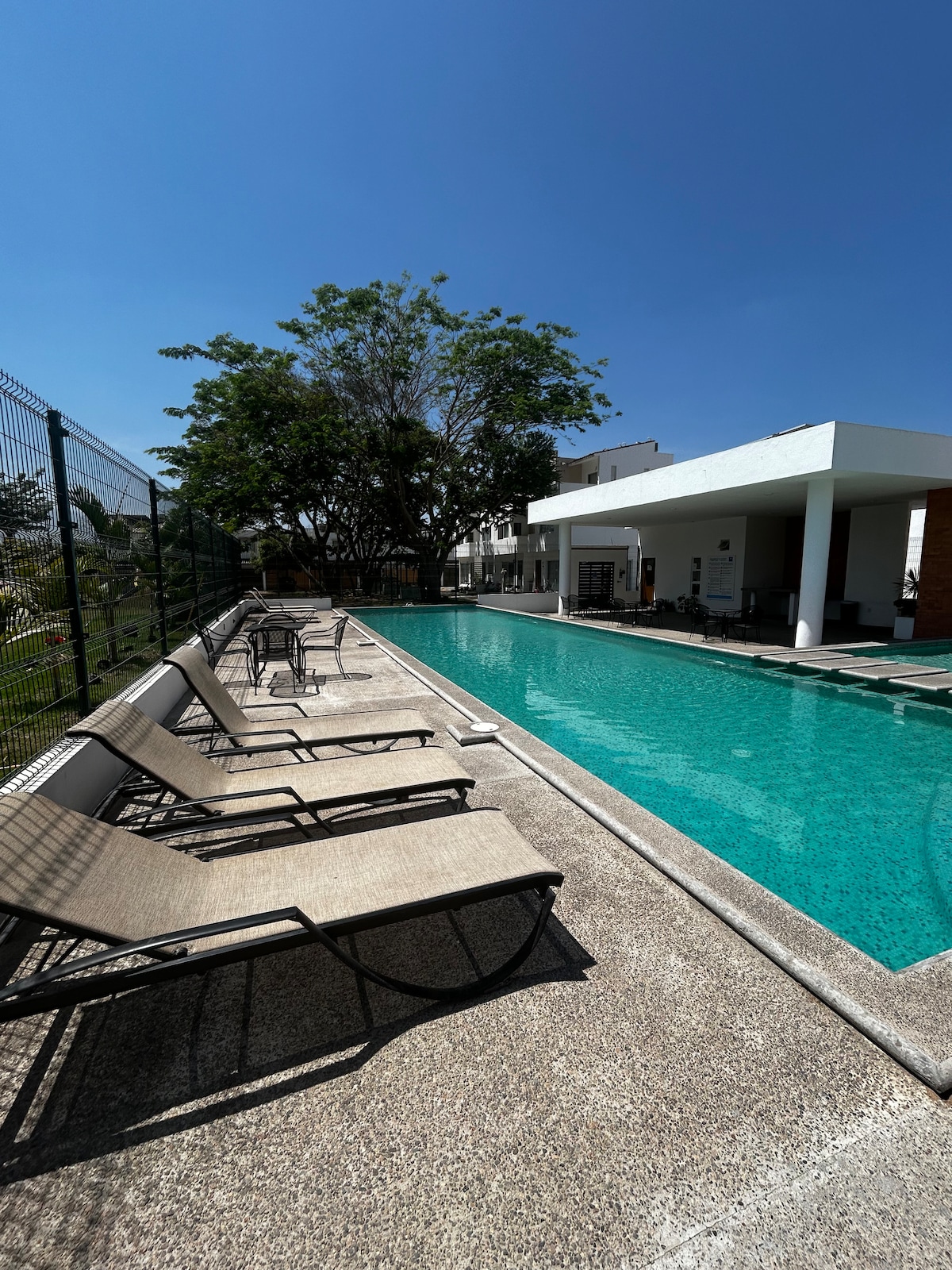 A long swimming pool runs alongside a sun deck, furnished with several lounge chairs. The clear blue water extends towards an open patio area, which is shaded by a large tree. Bright sunlight illuminates the scene, creating a serene outdoor setting.