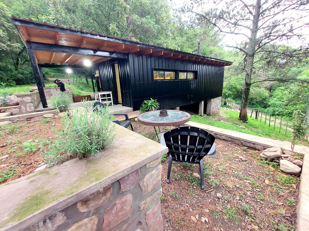 A modern cabin is surrounded by lush greenery, with a dark exterior contrasting against the natural setting. An outdoor seating area features a circular table and black chairs, providing a cozy space to relax. Stone walls frame the path leading to the entrance.