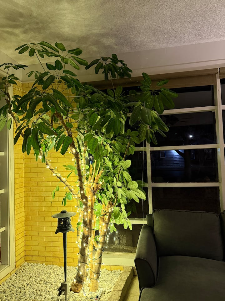 Marvelous, Unique, Spacious Stay - Carlsbad, NM