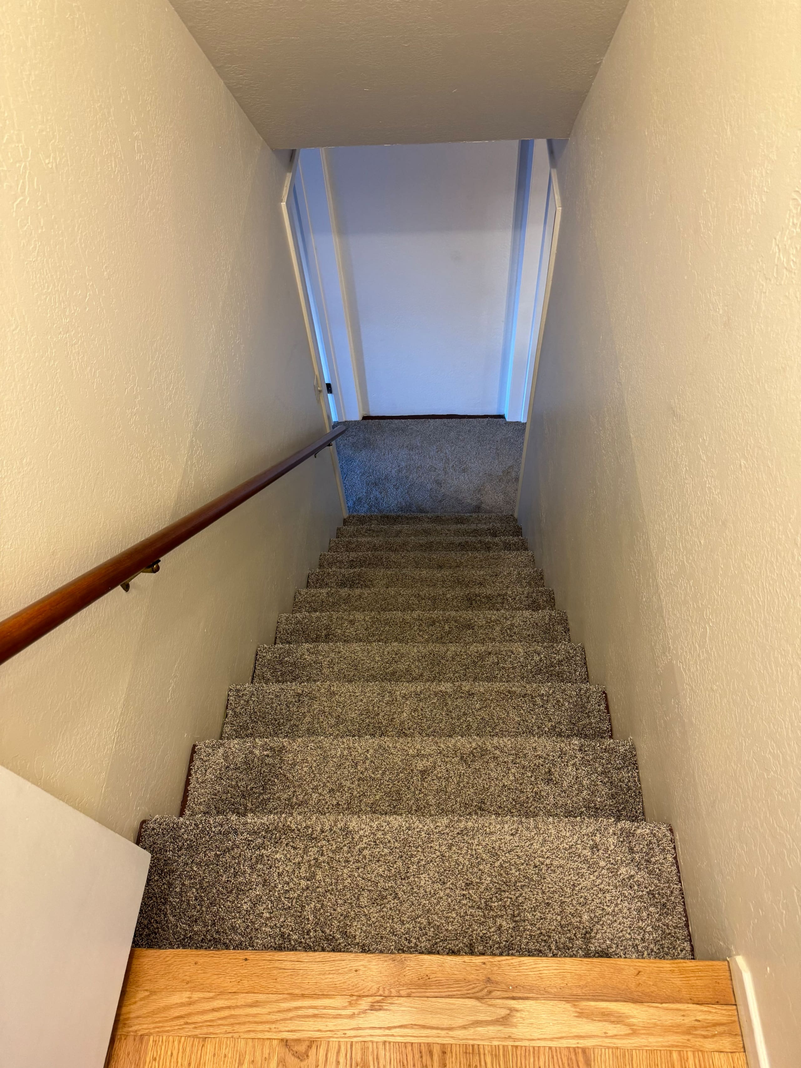 Home in San Francisco · ★4.89 · 3 bedrooms · 3 beds · 1 bath - Image 51