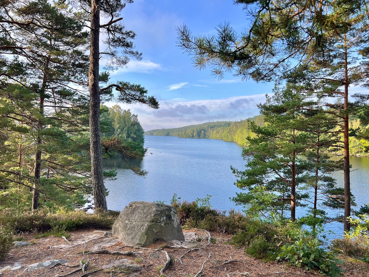 A serene lake scene is framed by tall pine trees and rocky outcrops. The calm water reflects the surrounding greenery, while hints of blue sky and clouds appear overhead. The natural landscape invites exploration and relaxation in a peaceful setting.