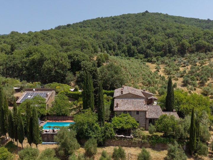 Dans Demeure Historique Avec Piscine, Ulivo - Monti del Chianti