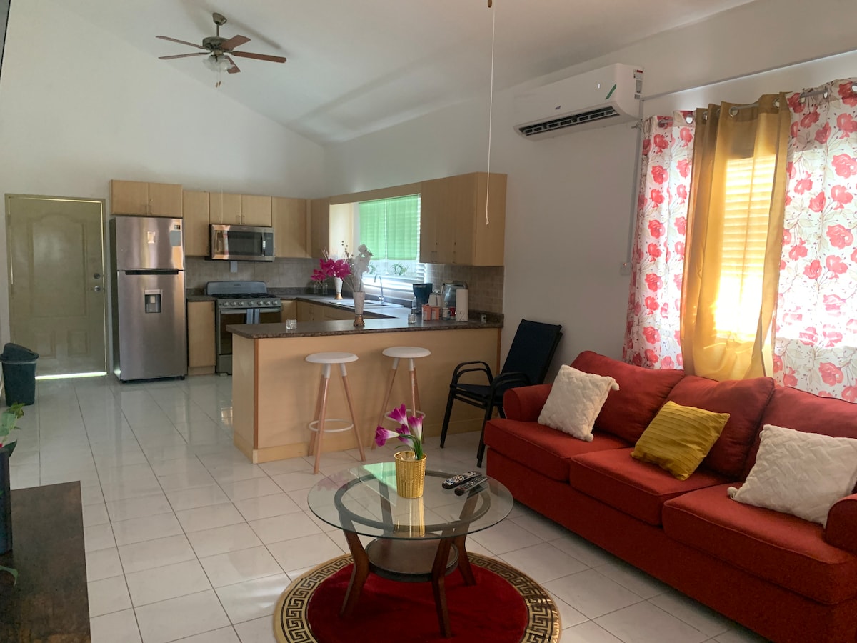 An open-concept living area features a red sofa with decorative throw pillows and a glass coffee table. The kitchen showcases modern appliances, including a stainless steel refrigerator and an island with two stools. Natural light enters through large windows, complemented by floral curtains.