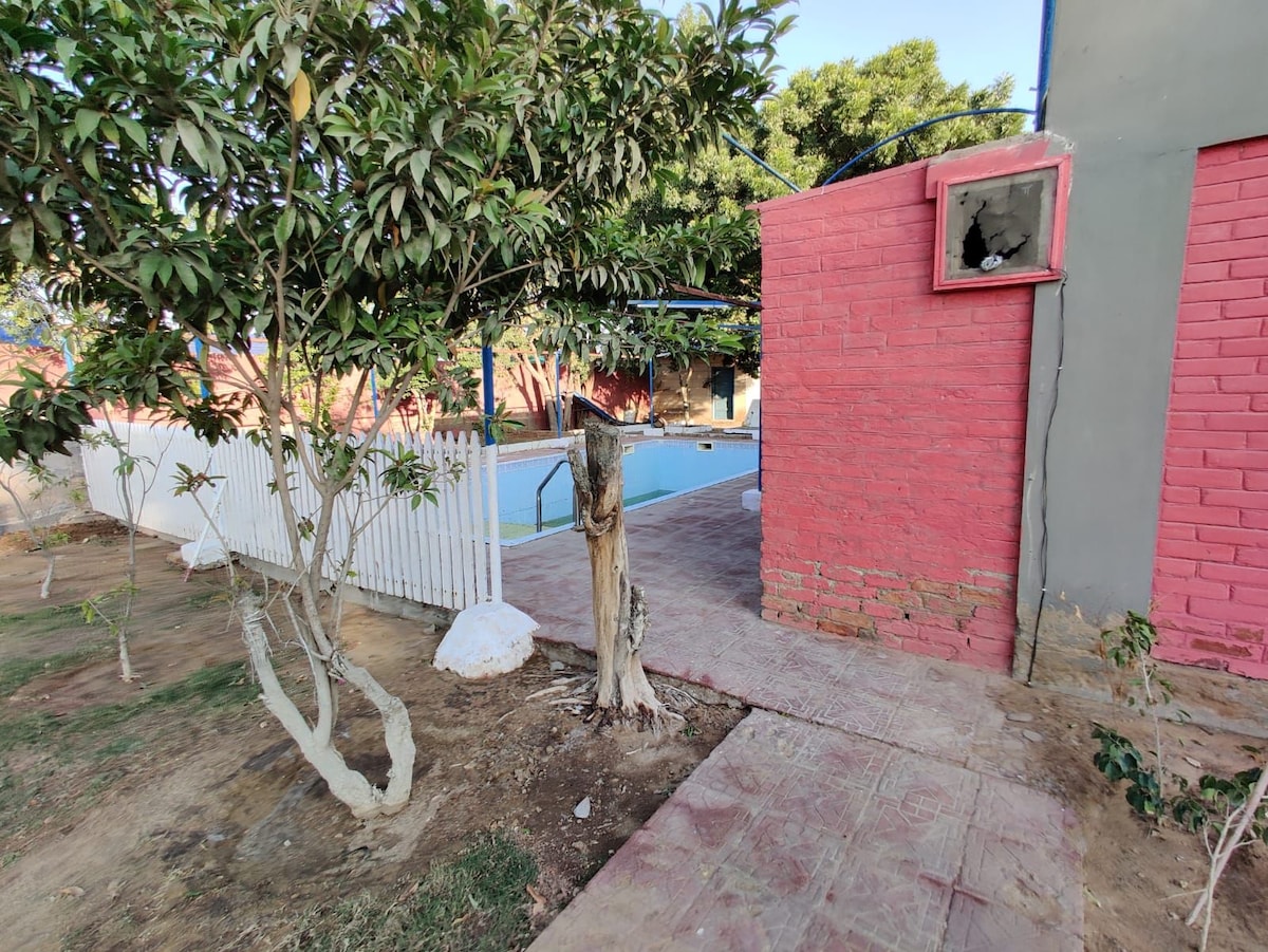A view captures the backyard area featuring a swimming pool surrounded by a white picket fence. The red brick wall of the farmhouse is visible, accentuated by a gray section. Lush greenery is present, adding to the serene environment.