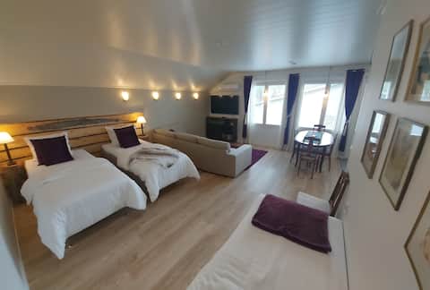 Eco Forest Side City Suite for 5, air-condition