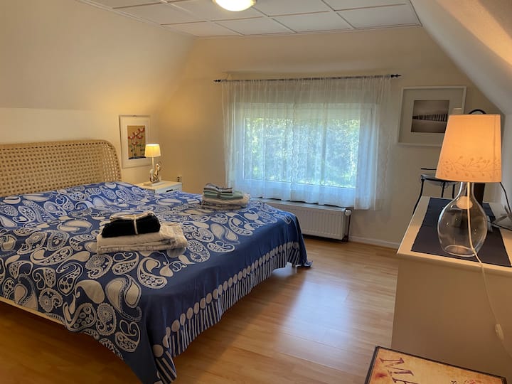 Habitación 1