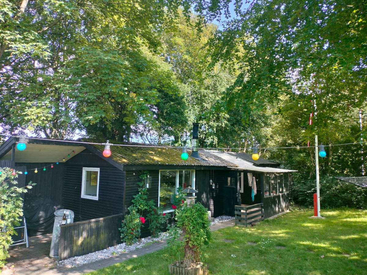 A cozy cottage is surrounded by lush trees, with colorful outdoor lights strung along the eaves. A well-defined path leads to the entrance, and a small seating area is visible to one side, enhancing the inviting exterior of the home.