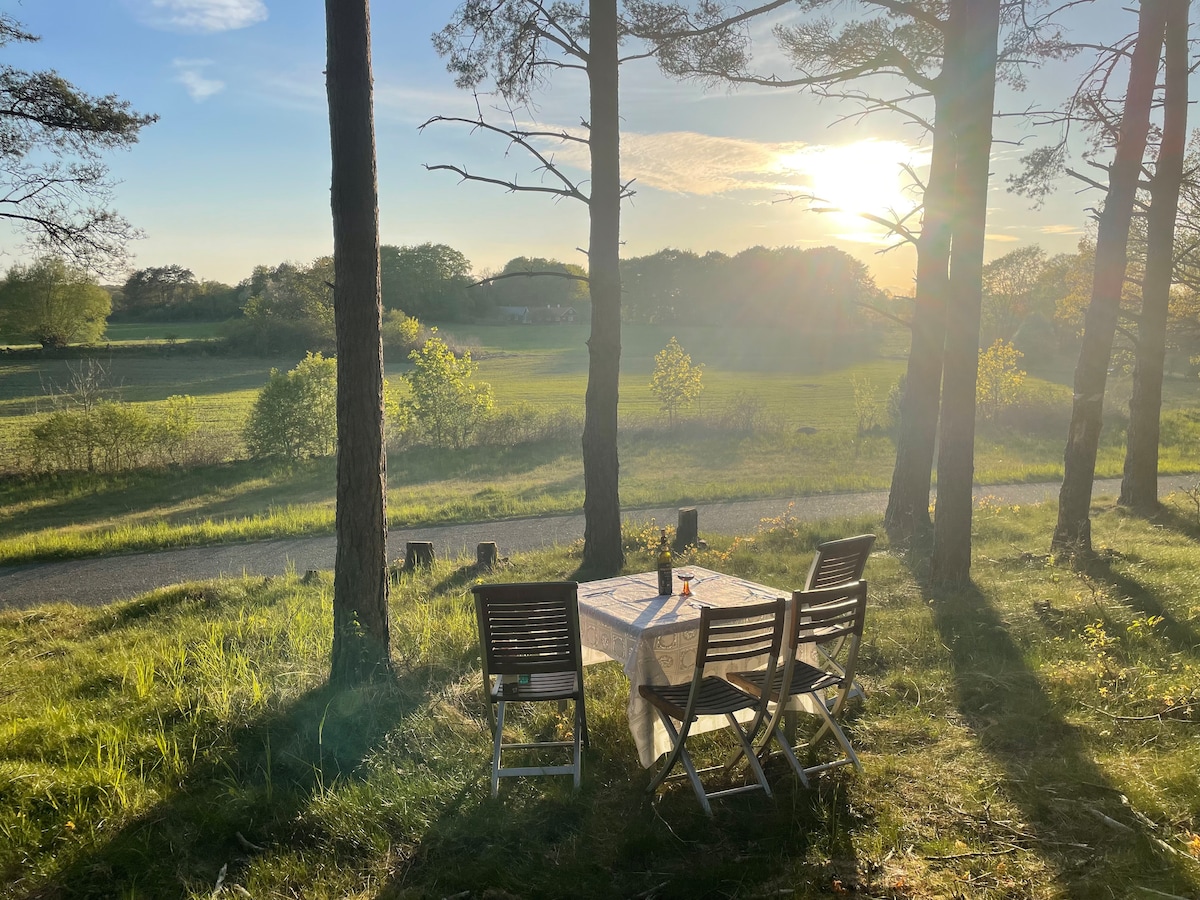 A small outdoor dining setup is situated among tall trees, featuring a table and four chairs. Sunshine casts a warm glow over a serene landscape of greenery, with a winding path visible in the background. The atmosphere suggests a peaceful retreat in nature.