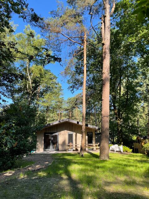 Cottage in Cape woods in Cape woods