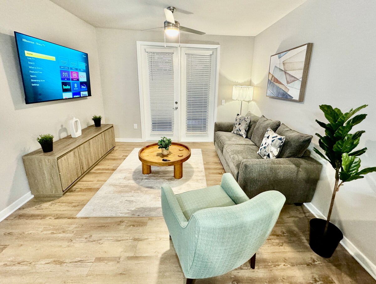 Luxury New Gem Apt Near Mayo Clinic Beach Pool Gym Apartments for