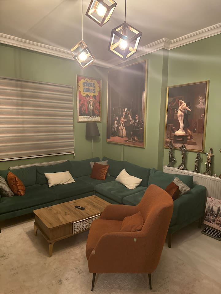 Kütüphane,bar Ve Analog Müzik Imkanları. - Kars