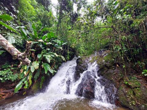 Recantocomozzi Rio dos cedros