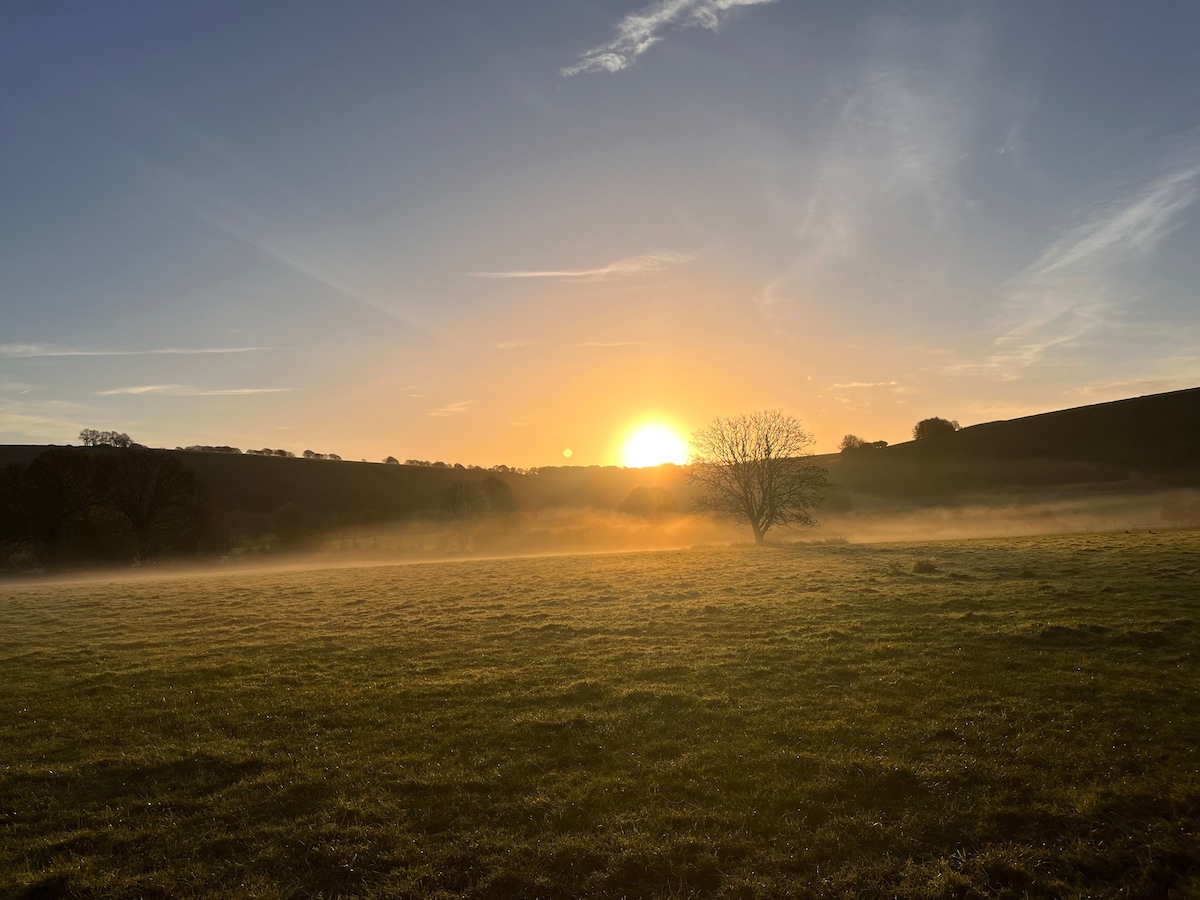 A serene landscape captures the sun rising over a misty field, with soft golden light spreading across the horizon. A solitary tree stands prominently, silhouetted against the warm hues of dawn, while gentle hills fade into the background.