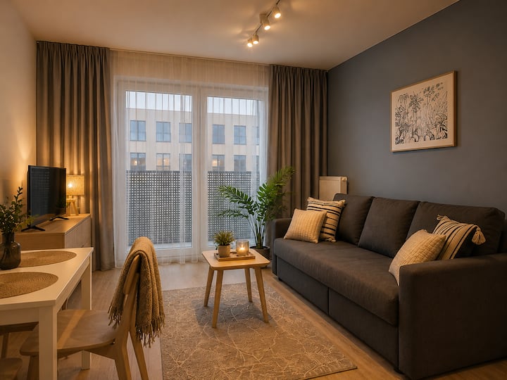 Apartament Z Klimatyzacją W Centrum - 羅茲
