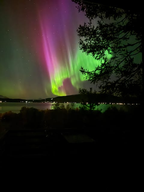 Successful Airbnb property: Seljebo Sky Lodge in Balsfjord