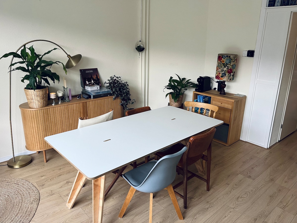 A dining area features a white rectangular table surrounded by four chairs in varying colors. A wooden sideboard and a tall lamp provide functional decor. Green plants are positioned on the table and sideboard, adding a touch of nature to the space.