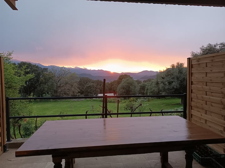 Saleccia Monte A Torra, Cuisine Extérieure/piscine - 꼬르스