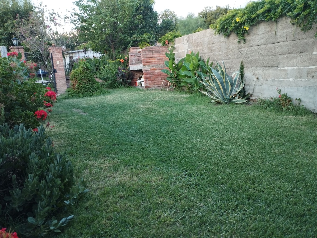 A green lawn is bordered by a variety of blooming flowers and foliage. Well-maintained plants, including a large agave, are visible alongside a stone wall. The area offers a tranquil outdoor space surrounded by natural greenery, ideal for relaxation.