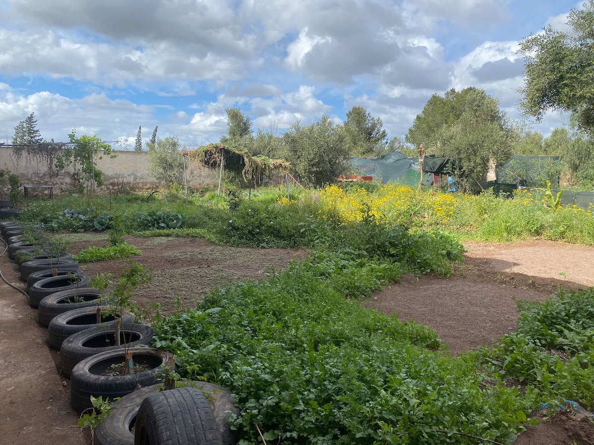 A green outdoor space illustrates a flourishing garden, featuring rows of plants and herbs. Tires are used creatively as planters. Lush vegetation and colorful wildflowers populate the area, surrounded by trees and a sky of scattered clouds.
