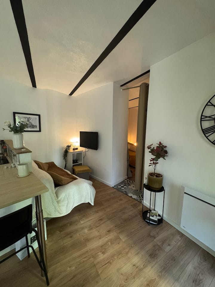 Le Parisien - Appartement De Caractère à Metz - Metz
